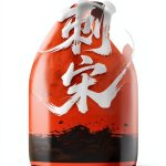Chinese Kindle Edition of 1st Edition by Nova Literature-0